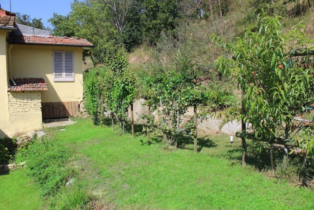 Casa Barulli - Tuscany San Giovanni Valdarno Exterior foto